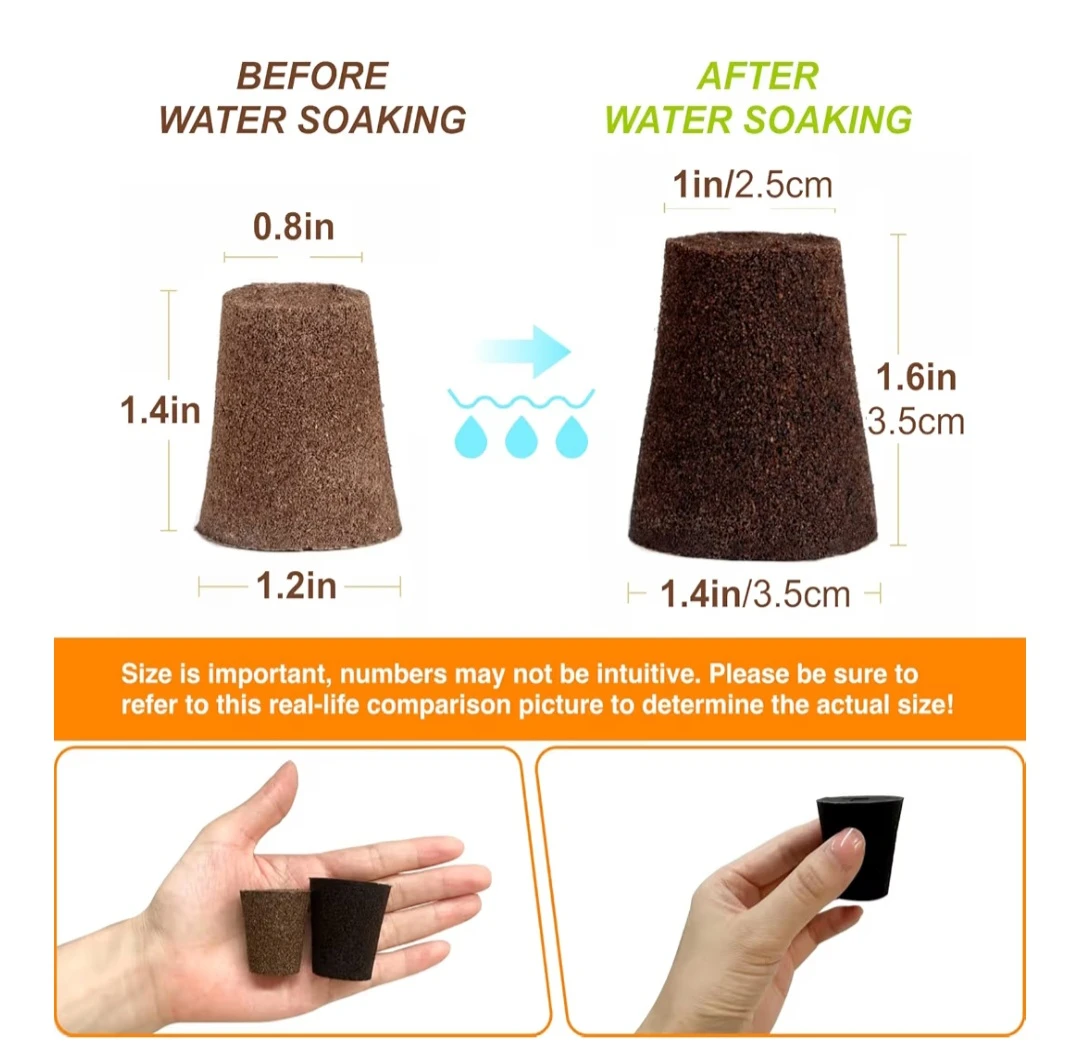 Round Replacement Seed Pod Sponges - photo 5
