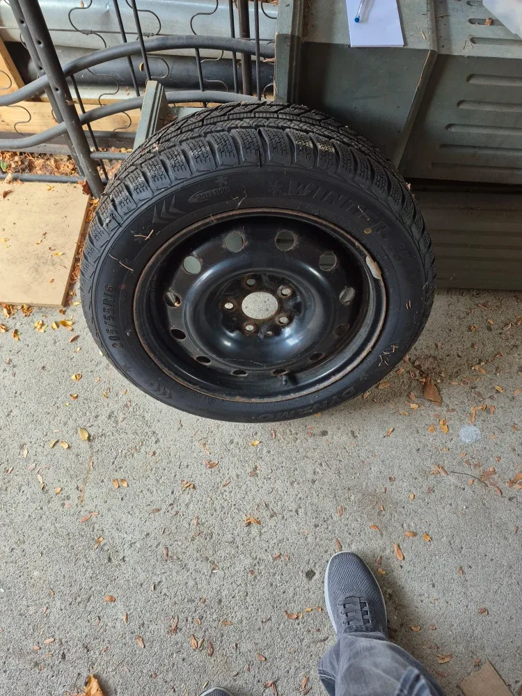 Dynamo Winter Claw Extreme Grip Winter Tire 205/55R16