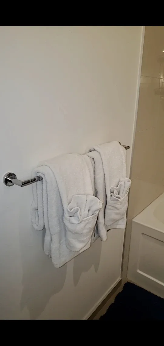 Residential Cleaner/Sanitization