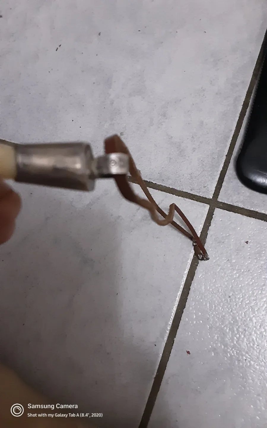 Real   WolfTooth Pendant Necklace , Silver  holder image indicator(2)