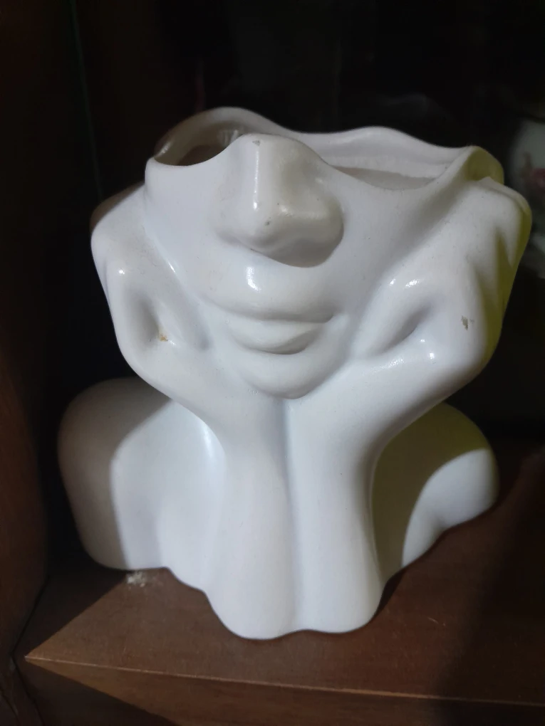Face Planter - Unique Home Decor
