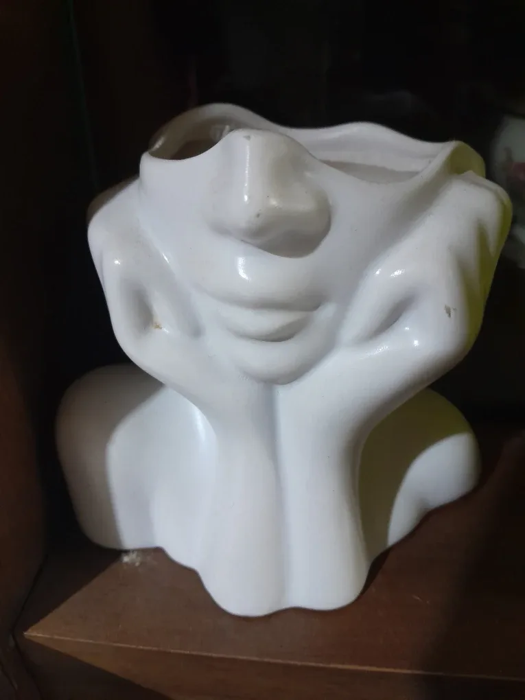 Face Planter - Unique Home Decor thumbnail