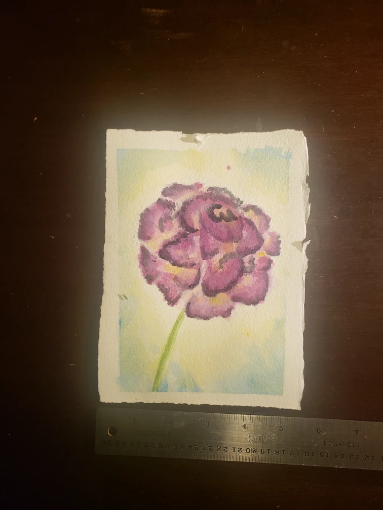 Original Watercolour 19x14 cm
