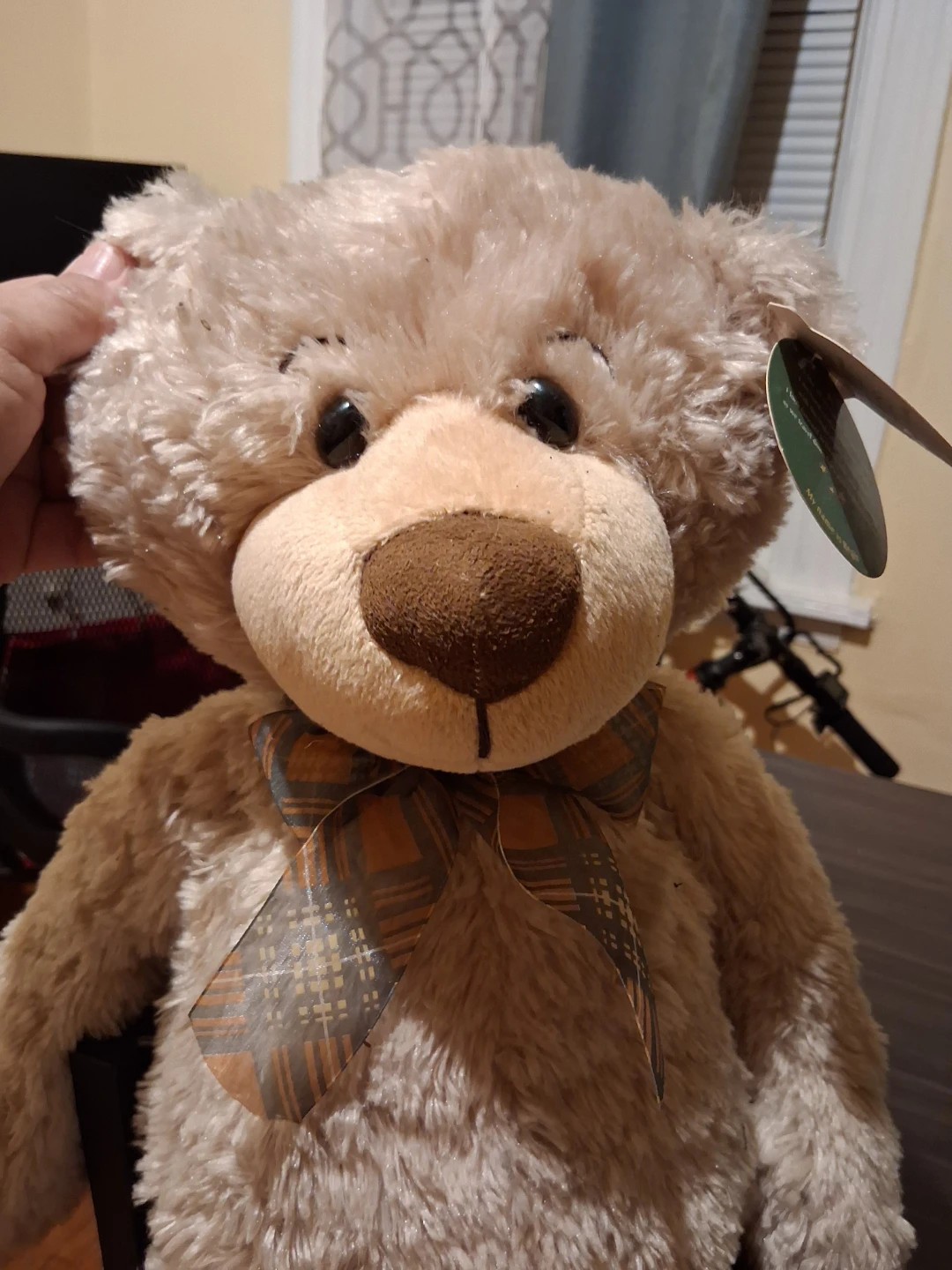 First & Main Regis Teddy Bear - photo 2