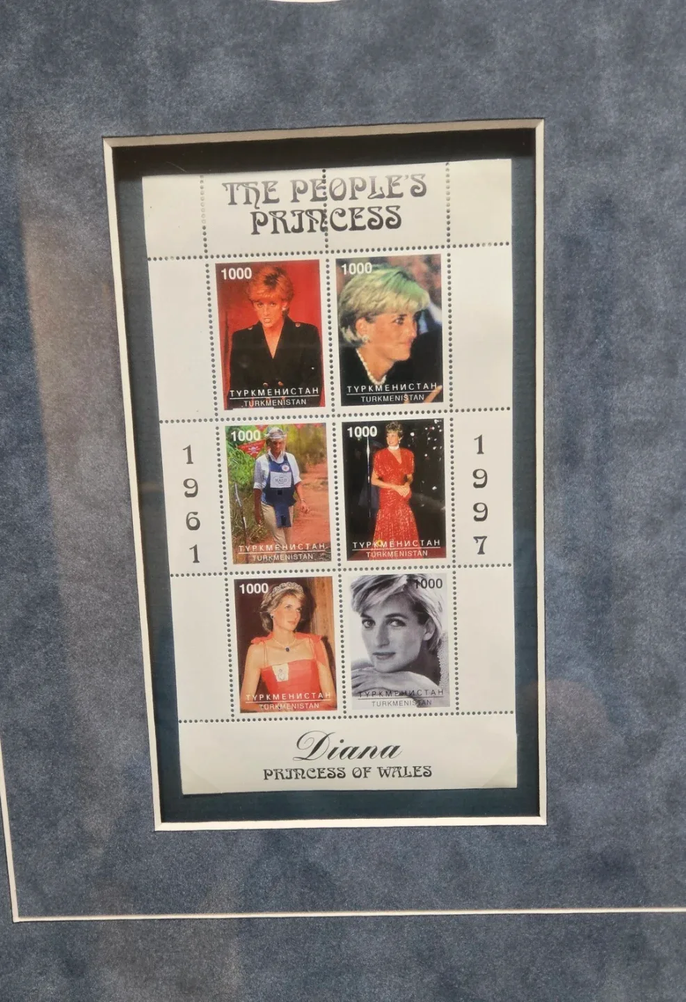 Framed Diana Princess of Wales Memorabilia image indicator(4)