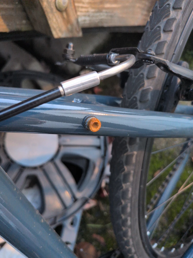 Nakamura Royal Bike - Blue - photo 2