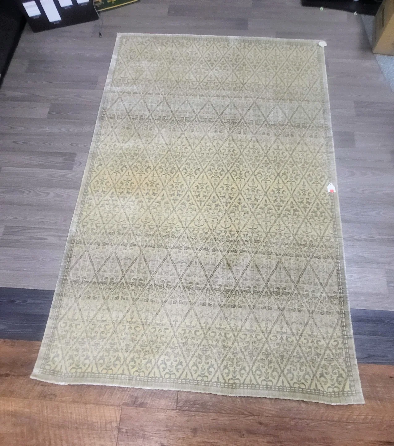 Sheba Stevens Omni Rug - 49x76 Viscose Rug