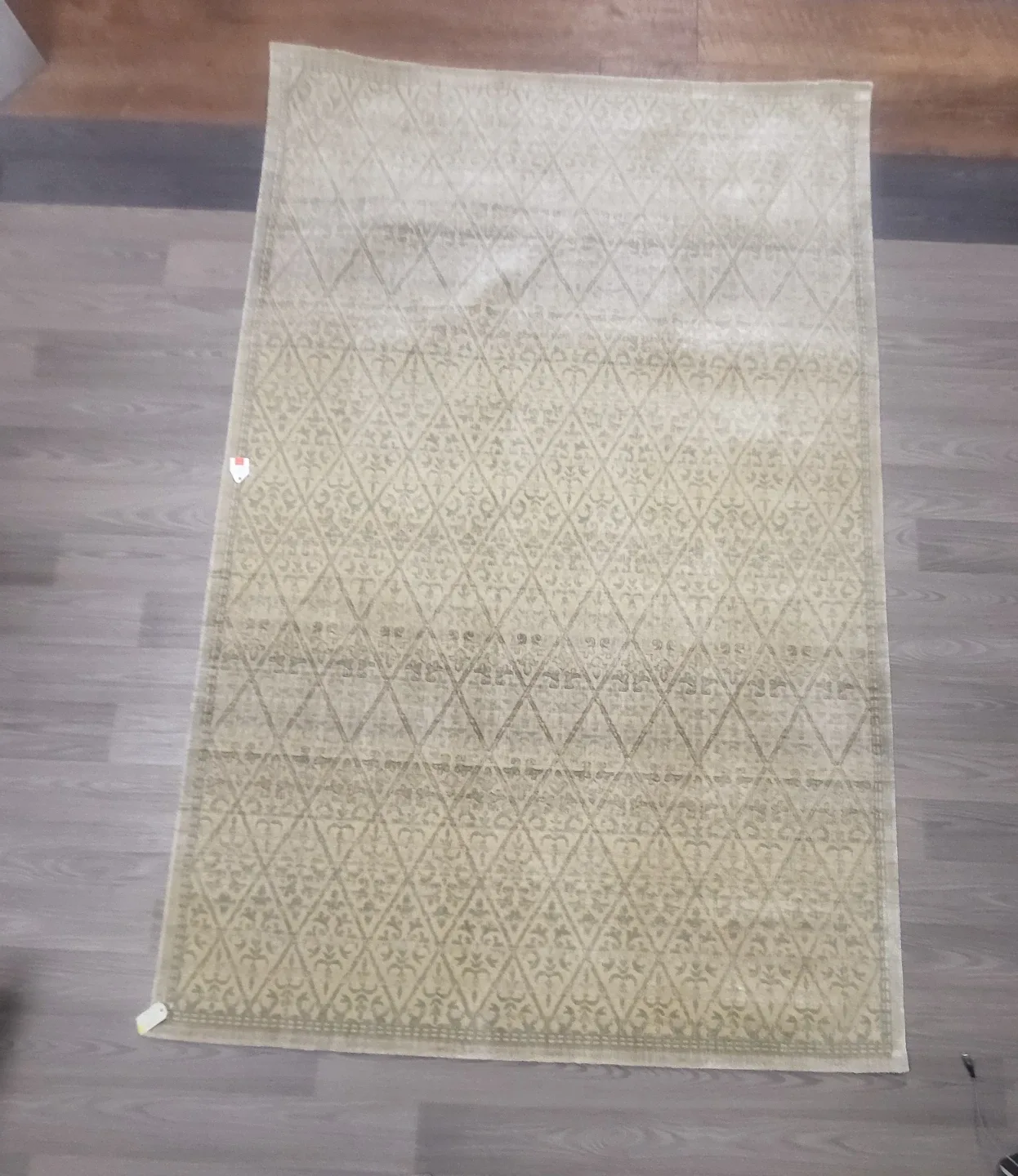 Sheba Stevens Omni Rug - 49x76 Viscose Rug image indicator(2)