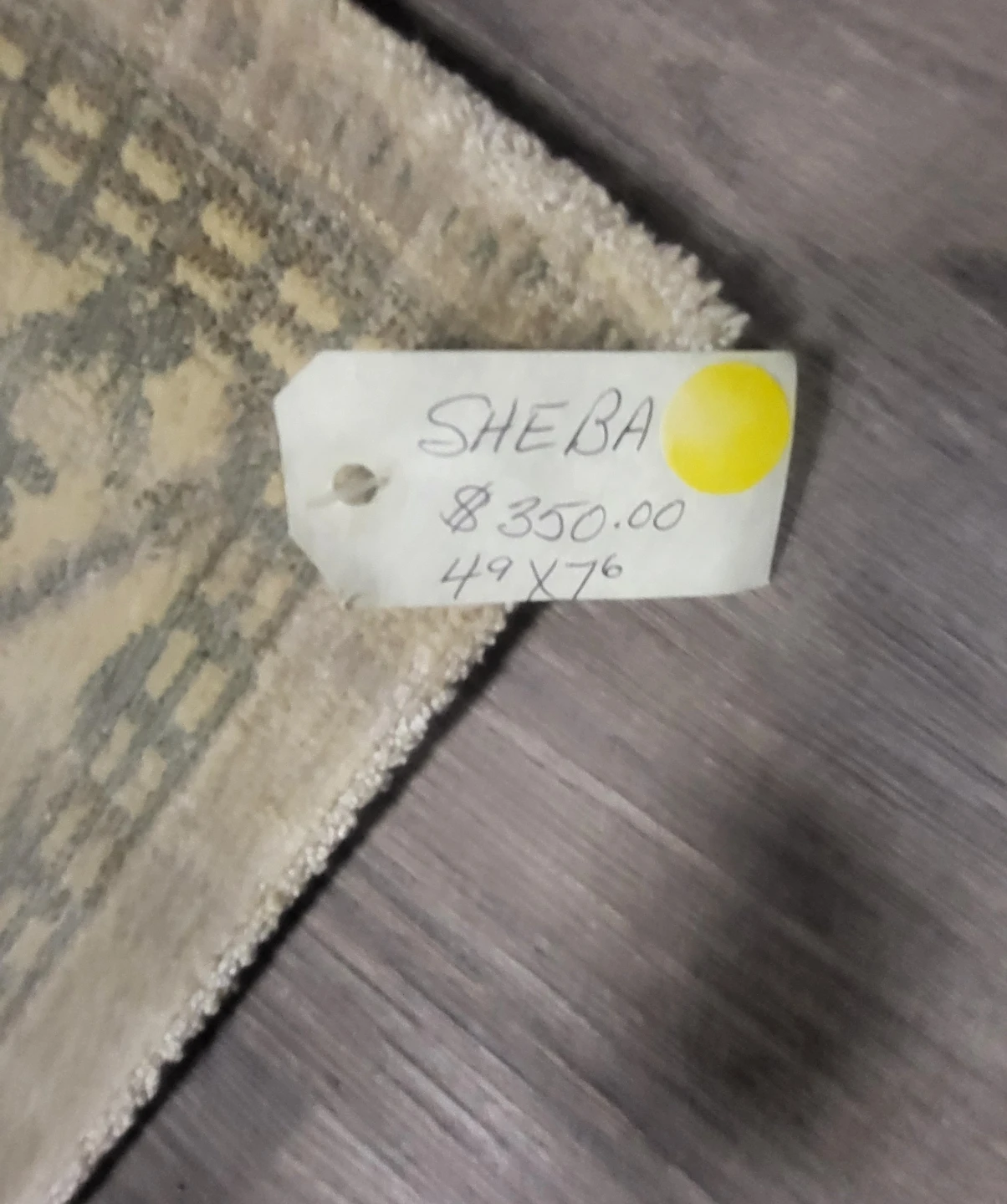 Sheba Stevens Omni Rug - 49x76 Viscose Rug - photo 4