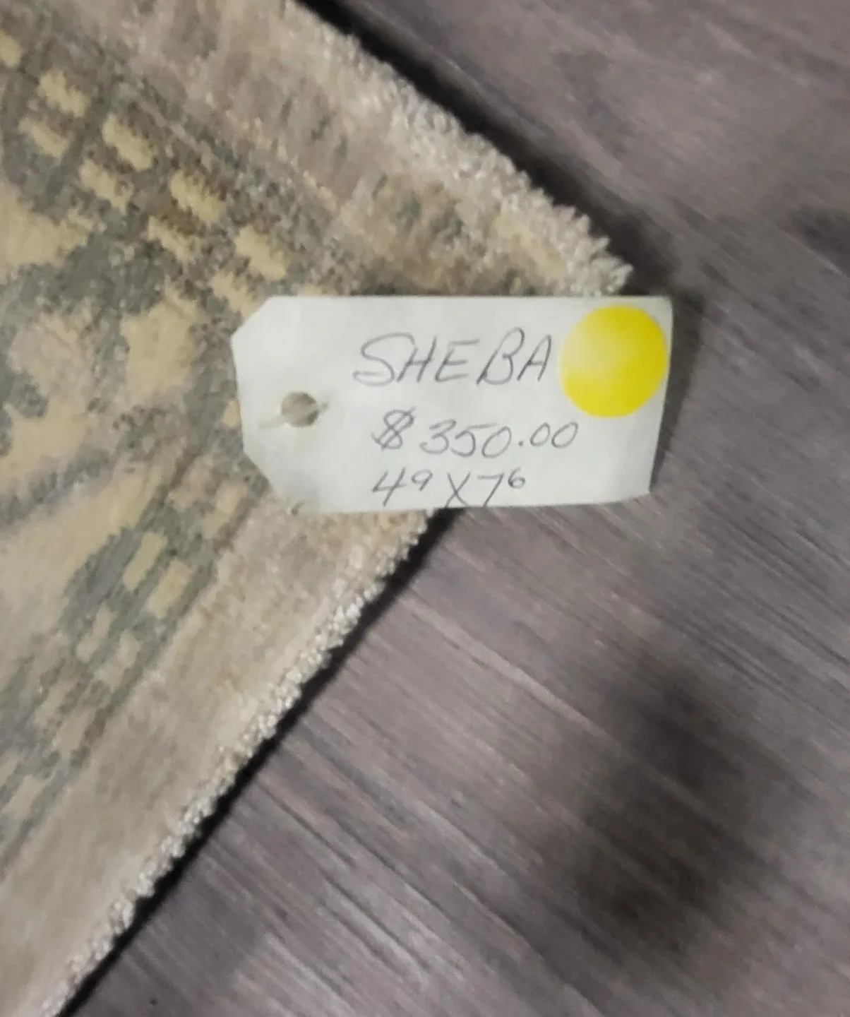 Sheba Stevens Omni Rug - 49x76 Viscose Rug image indicator(4)
