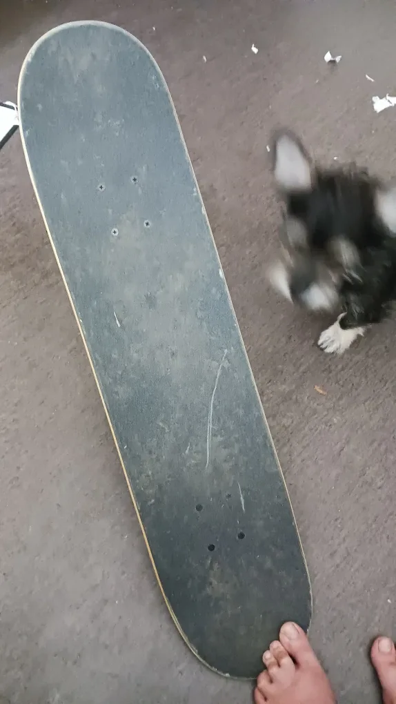 Krooked Skateboard - Yellow & Black image indicator(3)