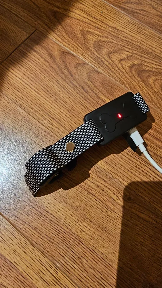 DILEASIR Wireless Dog Fence Training Collar - New! image indicator(5)