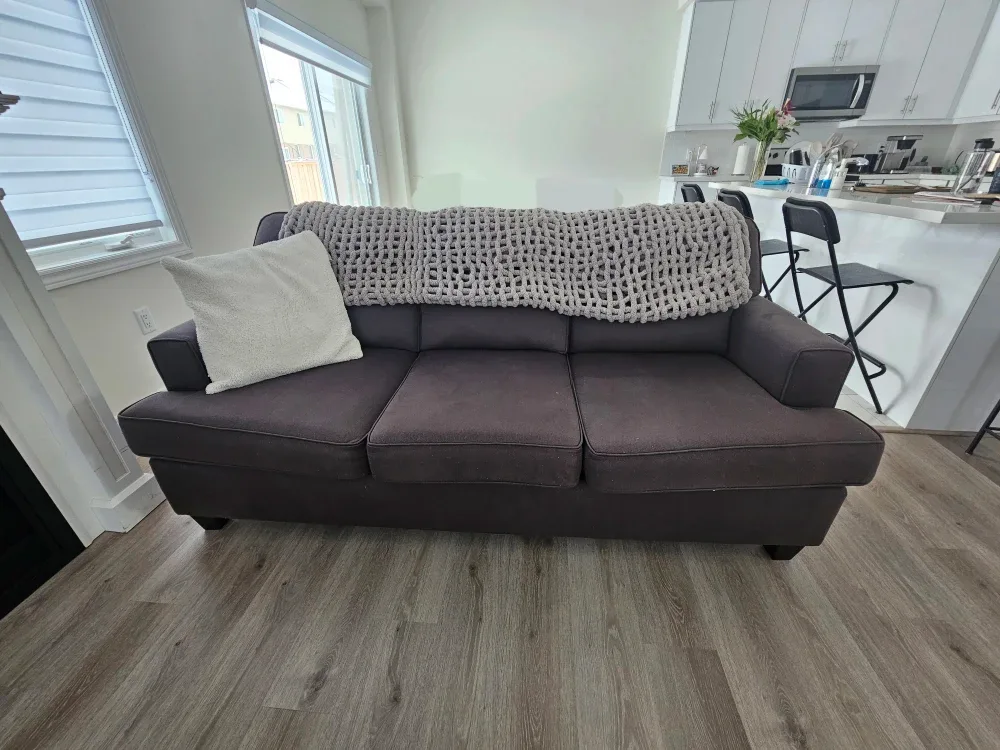 Comfortable Grey Sofa