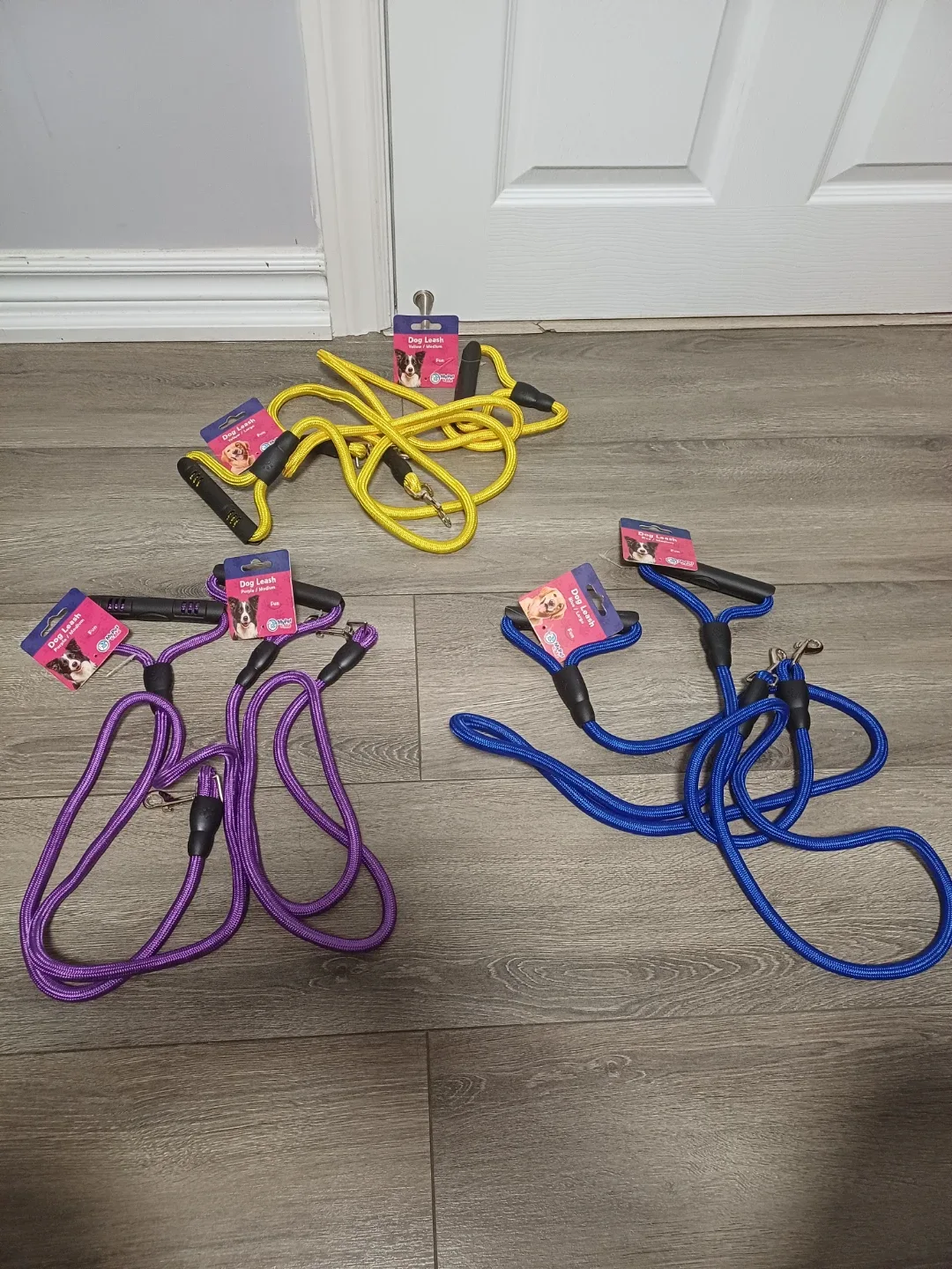 MyPet&Me Dog Leash - New with Tags! image indicator(5)