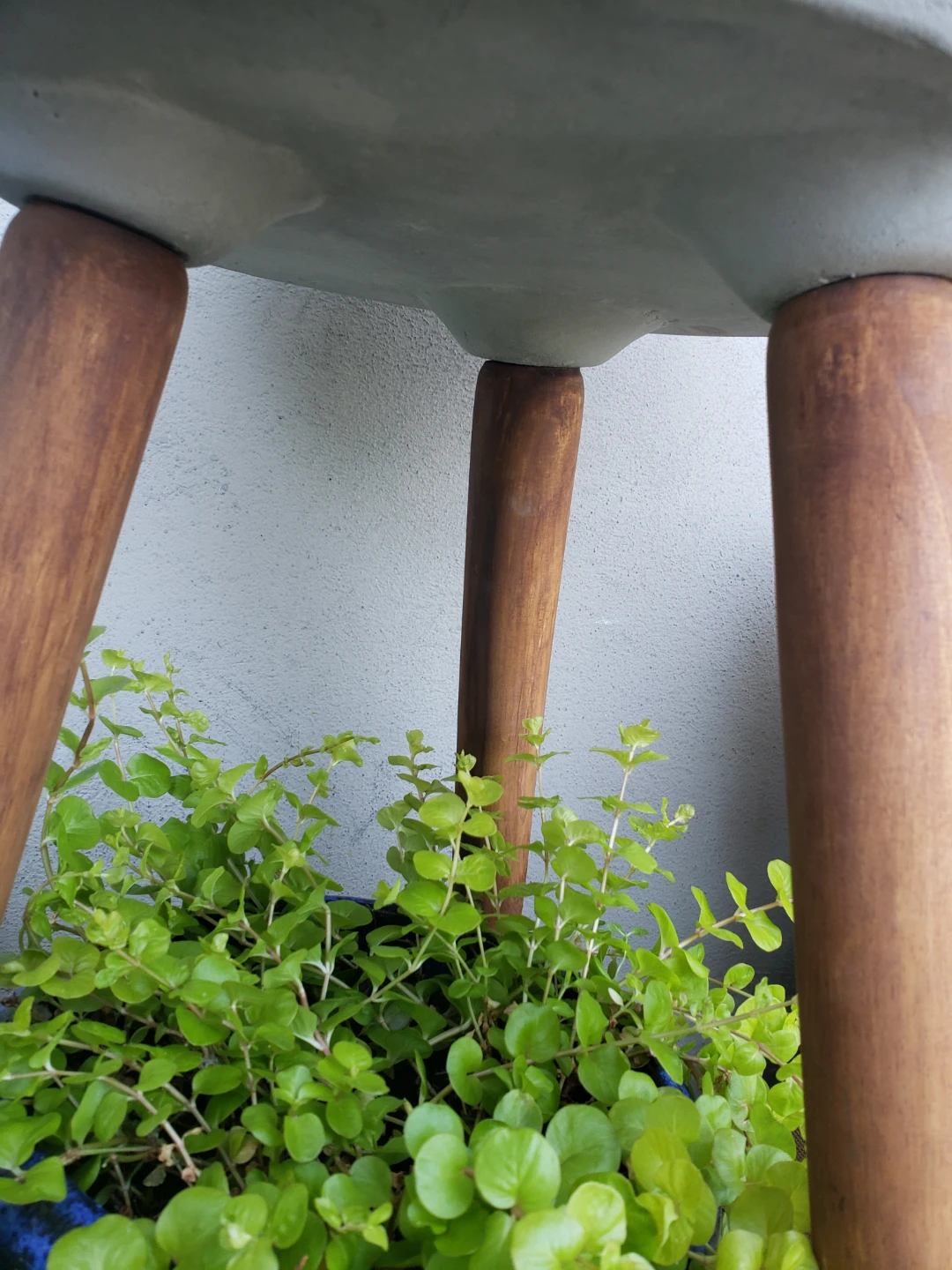 Concrete Planter Bowl with Wood Legs - photo 4