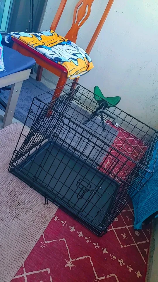 MidWest iCrate 24.5" Dog Crate