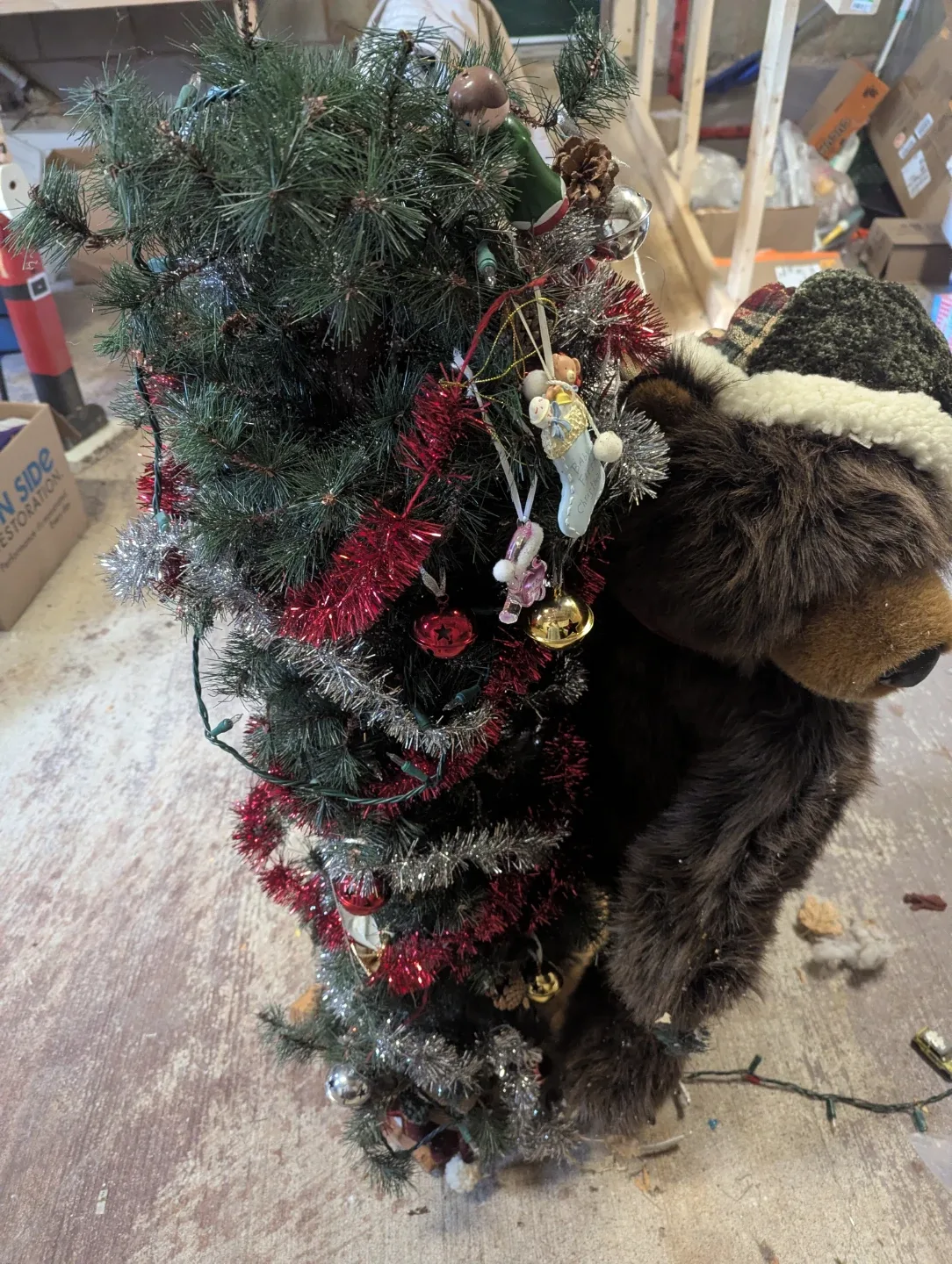 Christmas Tree with Bear Decoration thumbnail