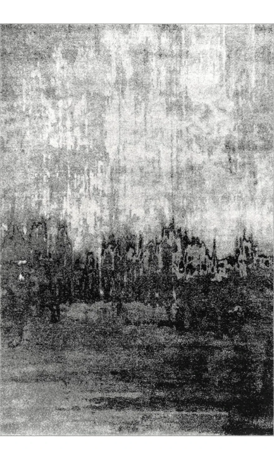 Black & Grey Area Rug image indicator(3)