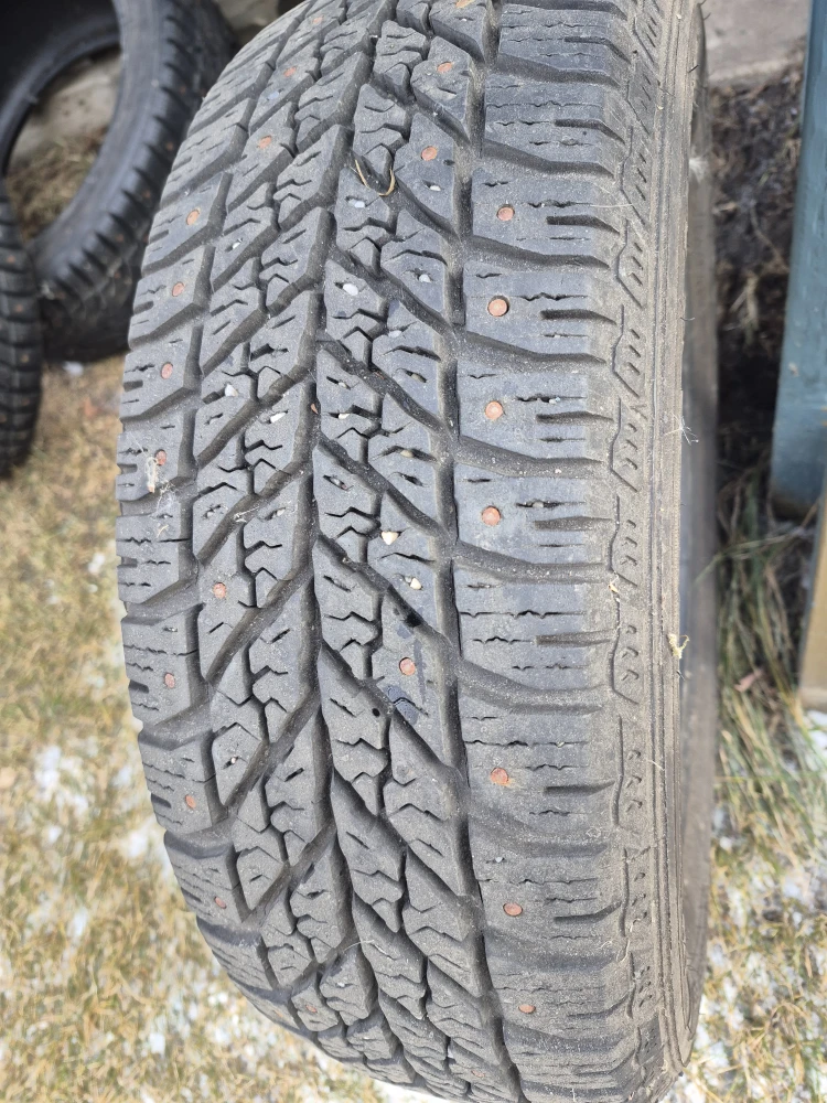 Goodyear Nordic Winter 195/60R15 Studded Tires - photo 2