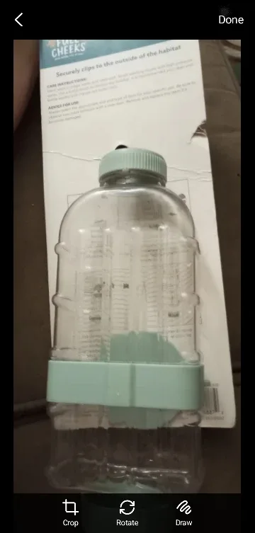 Full Cheeks Flat Back Water Bottle 32 fl oz