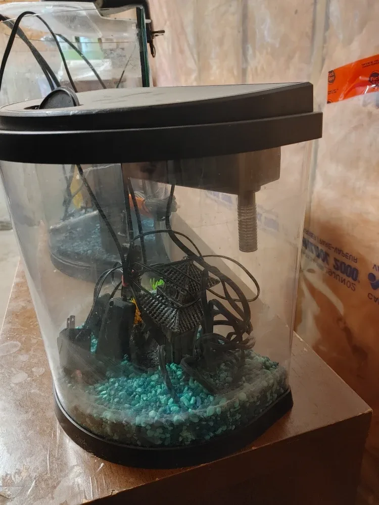 Fish Tank with Accessories