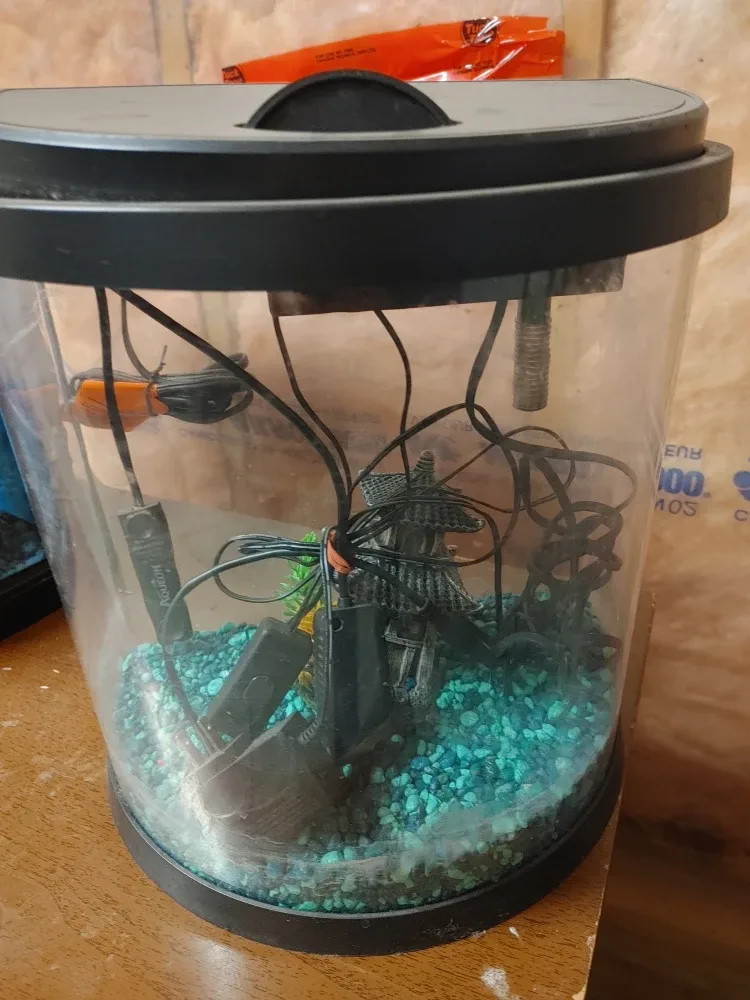 Fish Tank with Accessories image indicator(3)