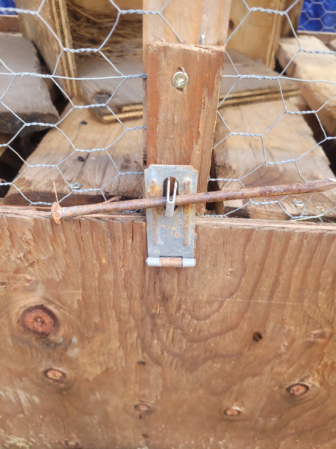 homemade rabbit cage - photo 3