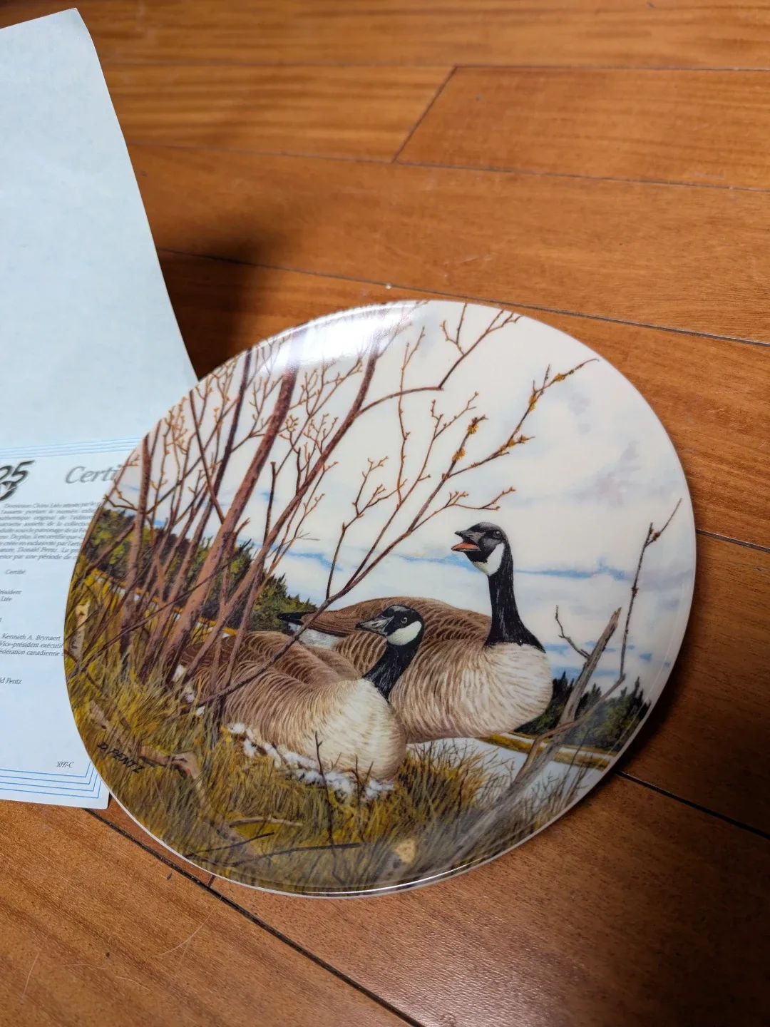 Dominion China "Nesting" Plate by Donald Pentz