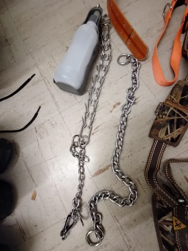 Dog Training Collar & Harness Set image indicator(2)