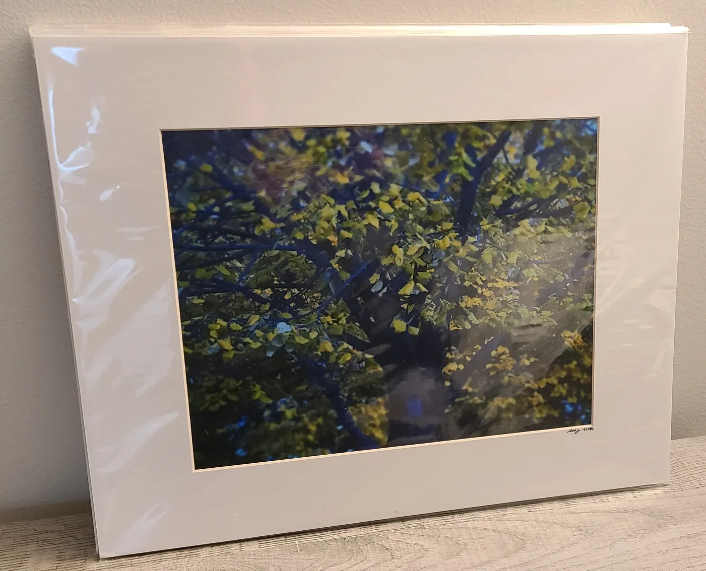 Trees have souls 3.3