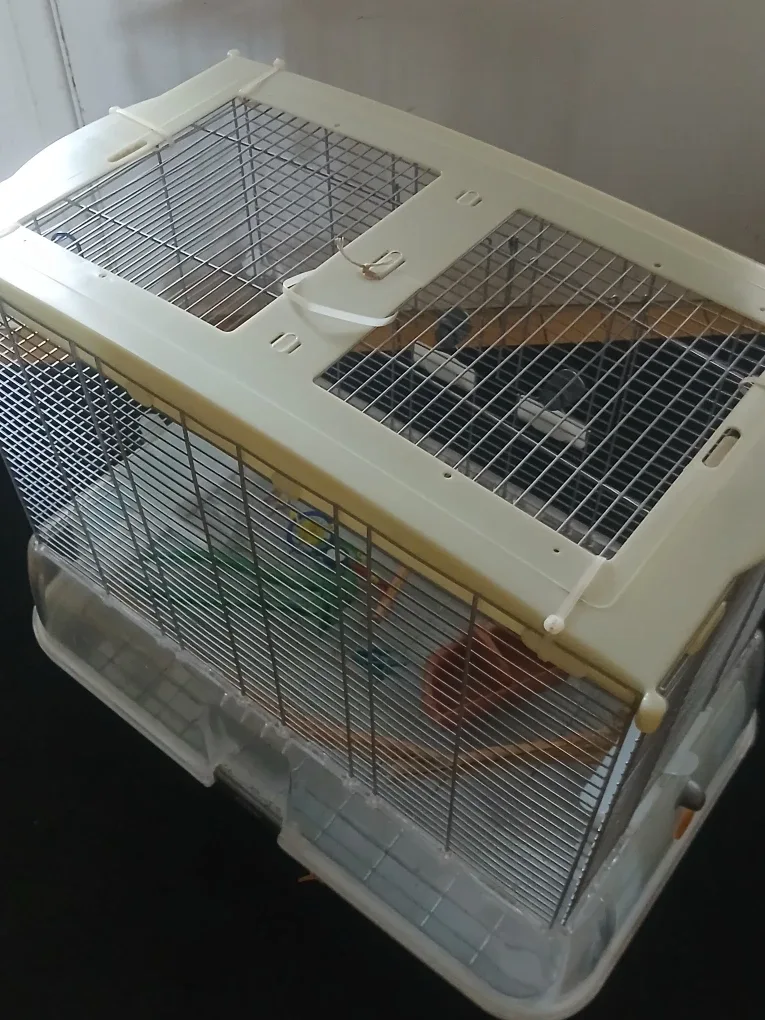 Vision Bird Cage - Great Condition
