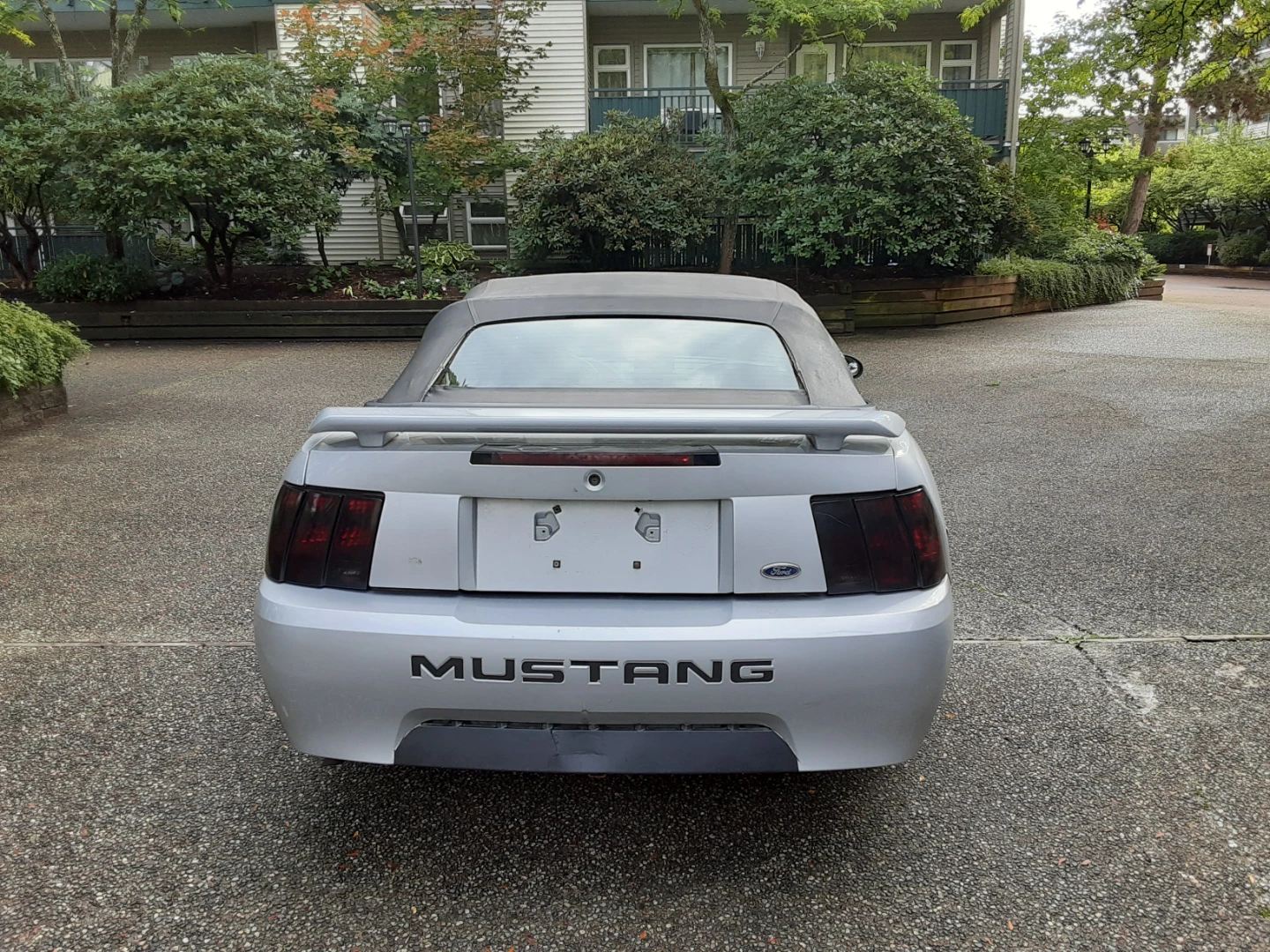 2002 Ford Mustang Covertible Low Kms Fully Loaded Rare Manual - photo 3