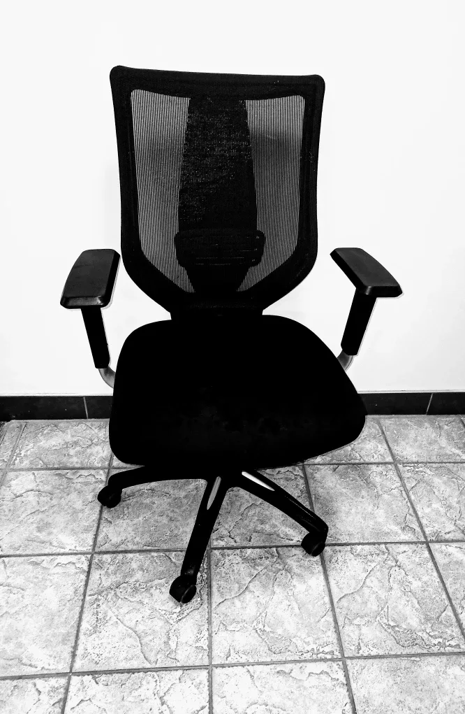 Ergonomic Office Chair
