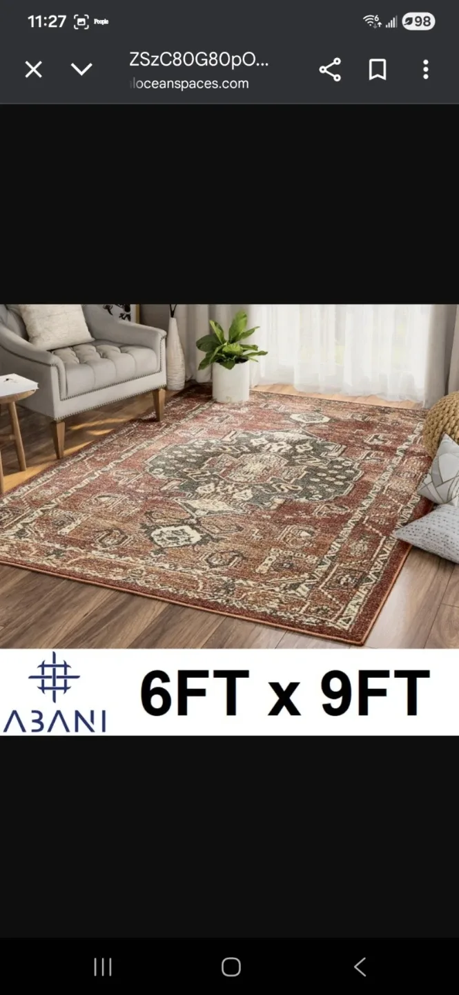 Abani Area Rug - 6ft x 9ft