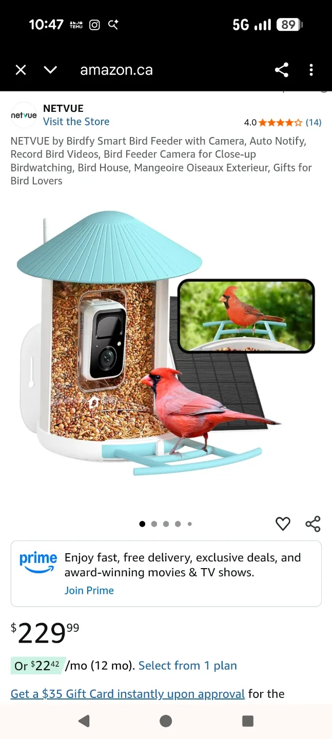 NETVUE Birdfy Smart Bird Feeder with Camera