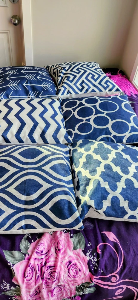 6 cushion covers  Only