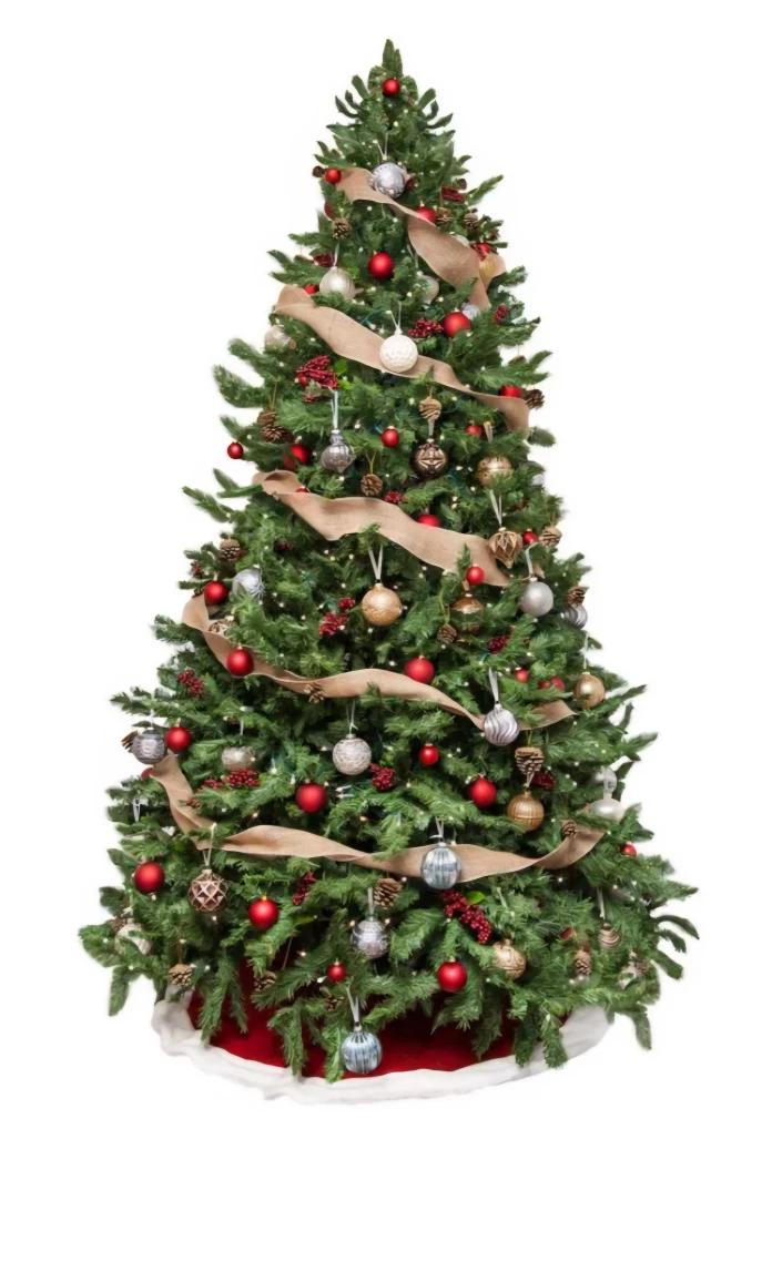 Fresh New Christmas Trees 5-6 ft (with free delivery) - photo 2