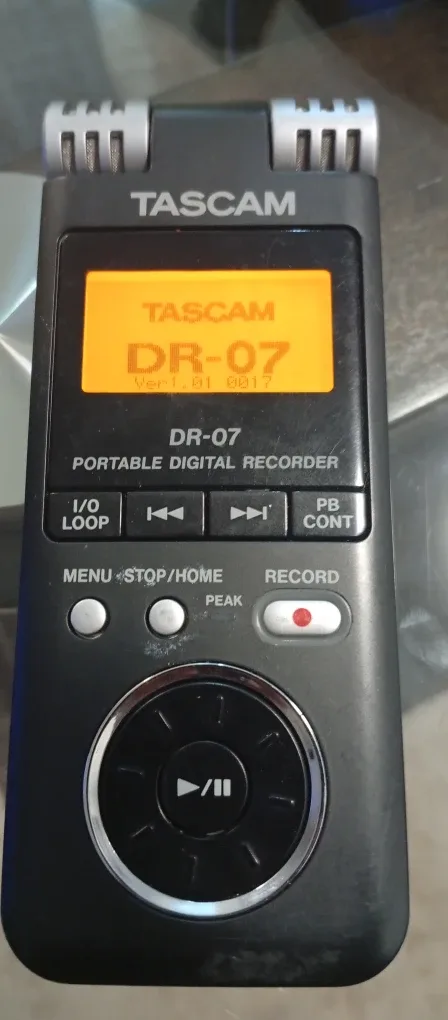 Tascam DR-07 Portable Digital Recorder image indicator(4)