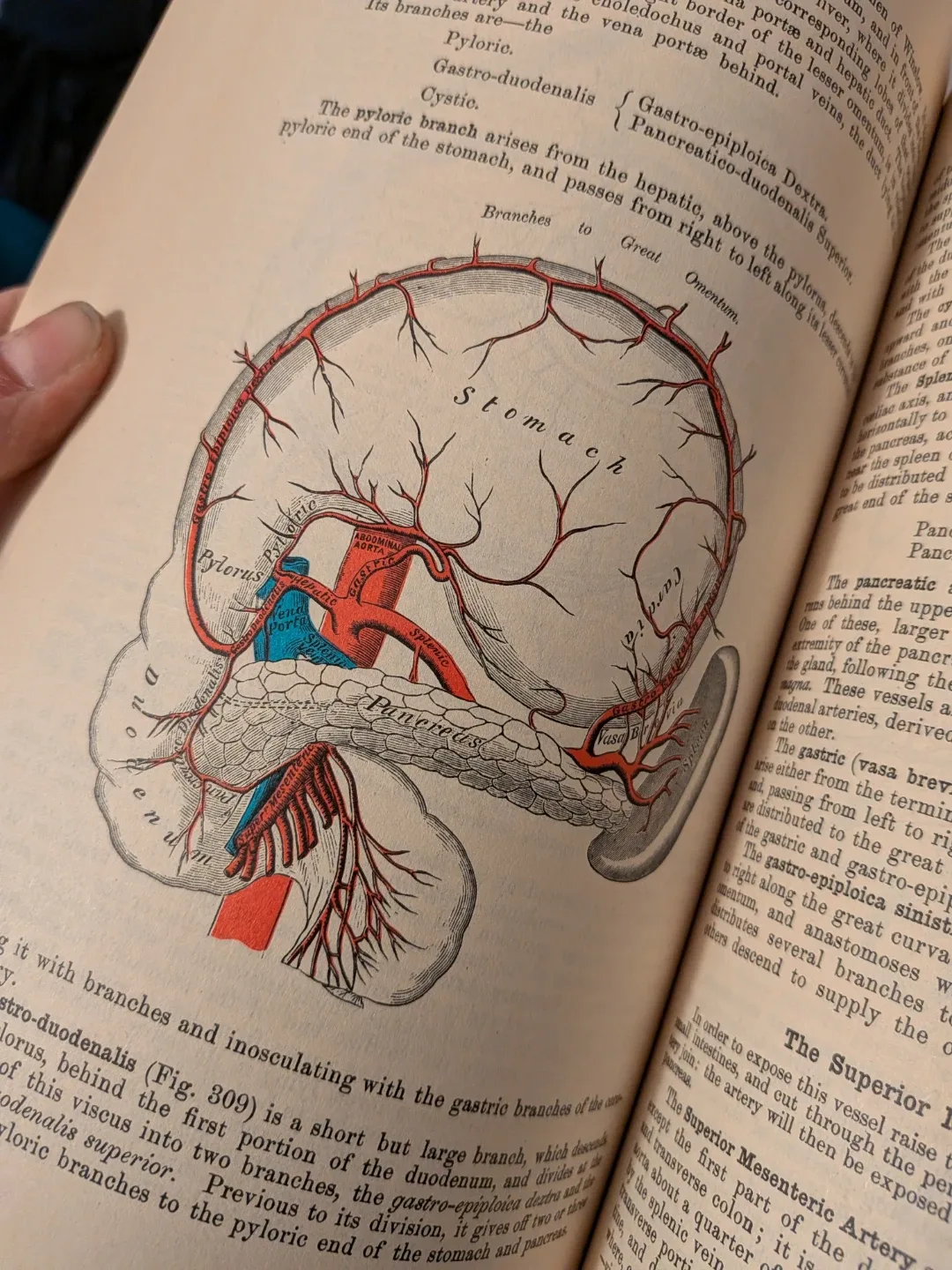 Gray's Anatomy: Classic Collector's Edition 1977 image indicator(4)