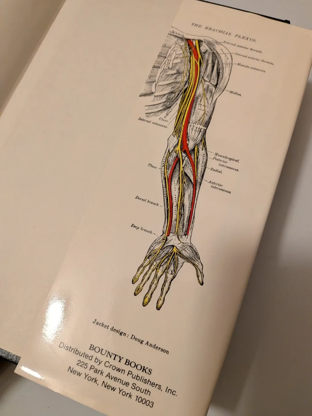 Gray's Anatomy: Classic Collector's Edition 1977 image indicator(7)