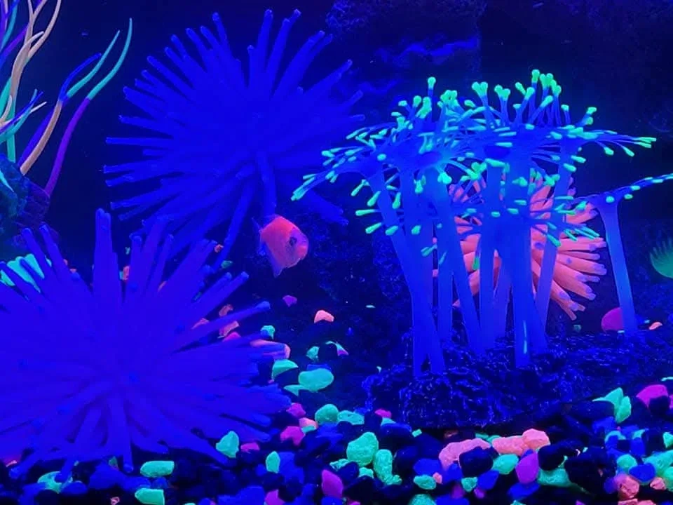 Tanks & Accessories image indicator(4)