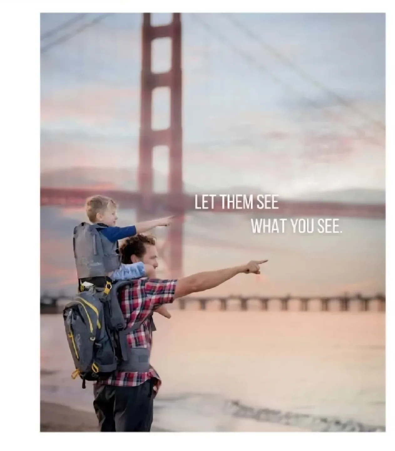 OE Shoulder Hiking Carrier brand new thumbnail