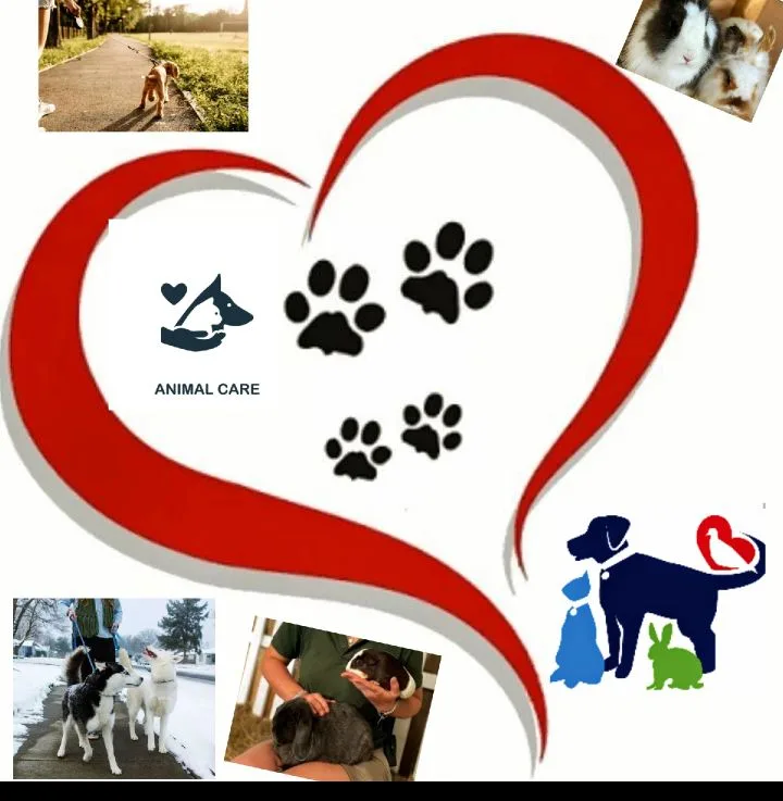 🐕🐠🐈‍⬛ Reliable Pet Care 📍SE Calgary 🐇🦜🦎