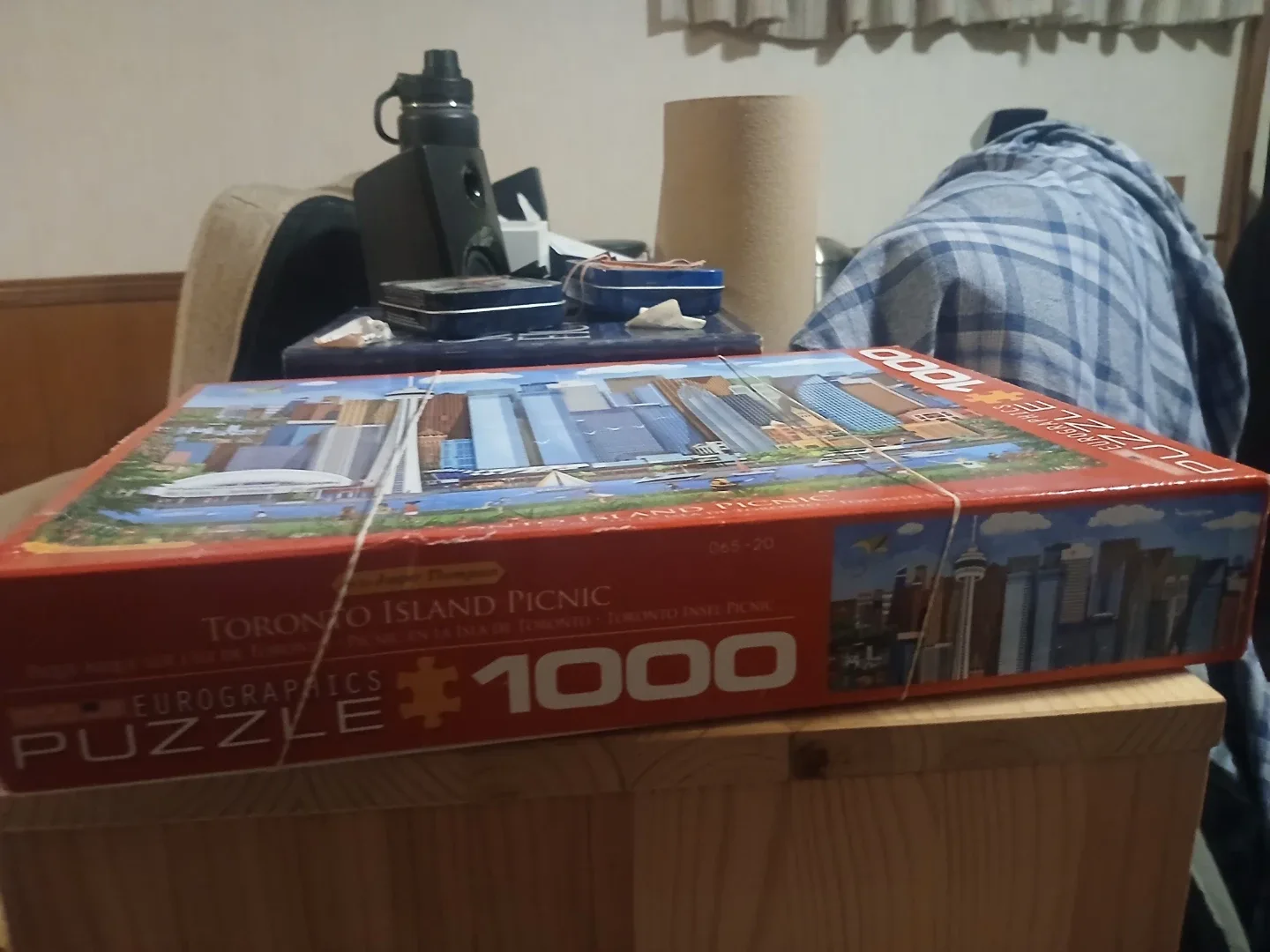 Eurographics Toronto Island Picnic 1000 Piece Puzzle image indicator(2)