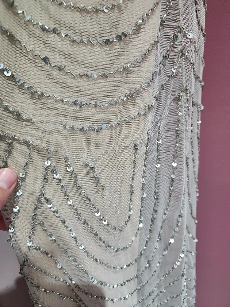 Adrianna Papell long beaded gown image indicator(4)