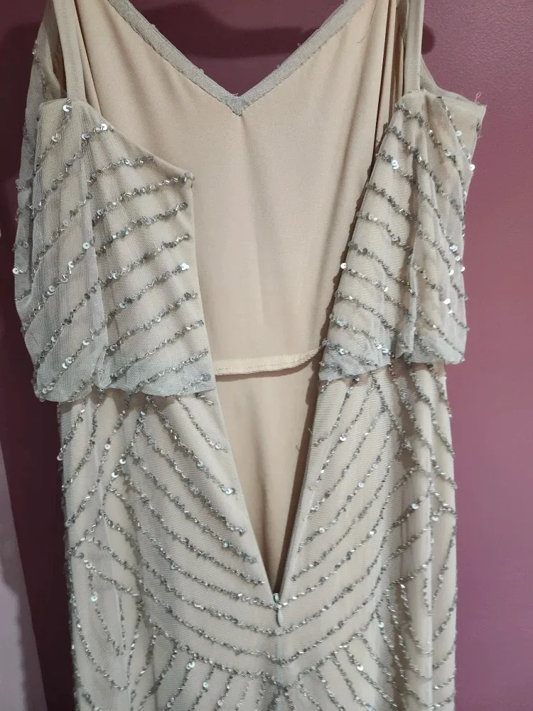 Adrianna Papell long beaded gown image indicator(5)