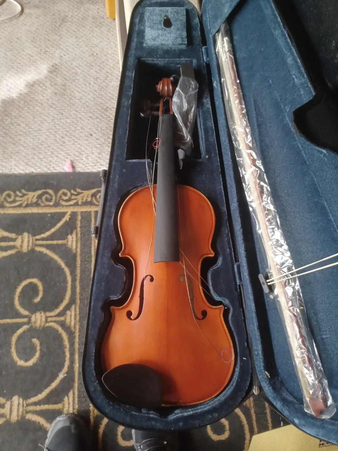 Violin with Case and Bow