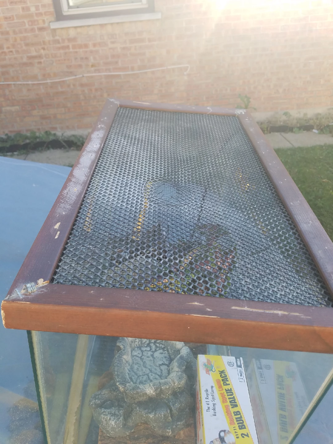 Reptile Habitat Tank with Accessories - photo 5