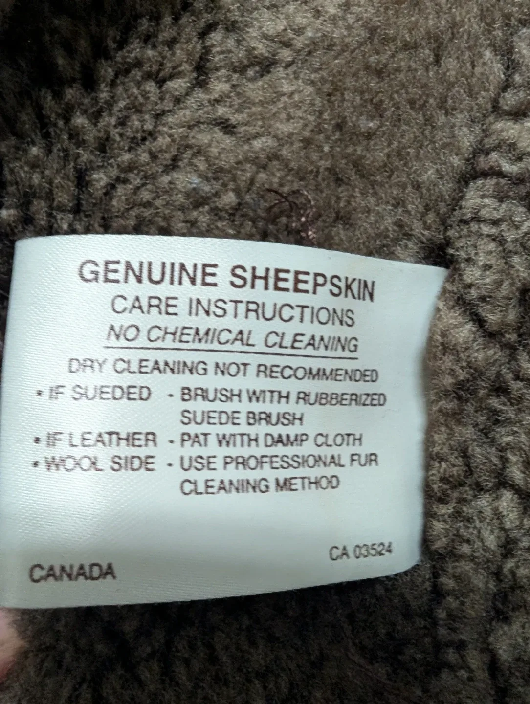 Shearling Coat with Hood image indicator(6)