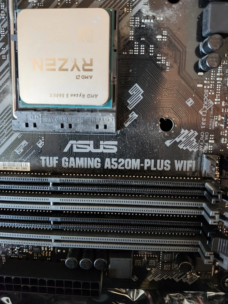 ASUS TUF GAMING A520M-PLUS WIFI w/ AMD Ryzen 5 5600X